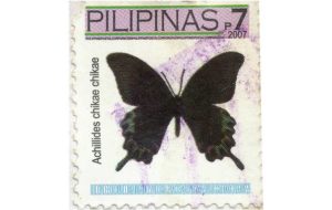 2007 butterfly stamp from the Philippines