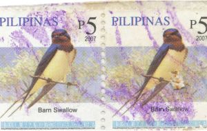 barn swallow bird stamp