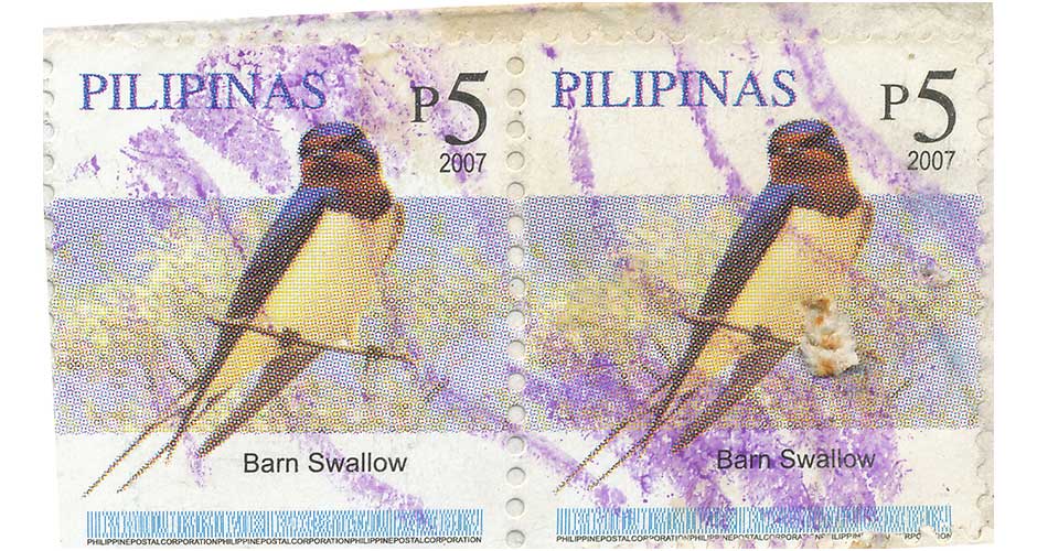 barn swallow bird stamp