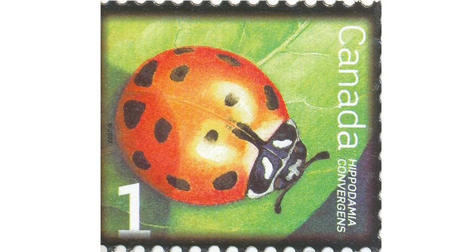 canadian stamp ladybird