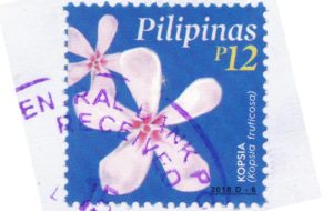 kopsia philippine flower stamp for web