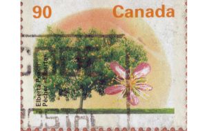 Elberta Peach stamp