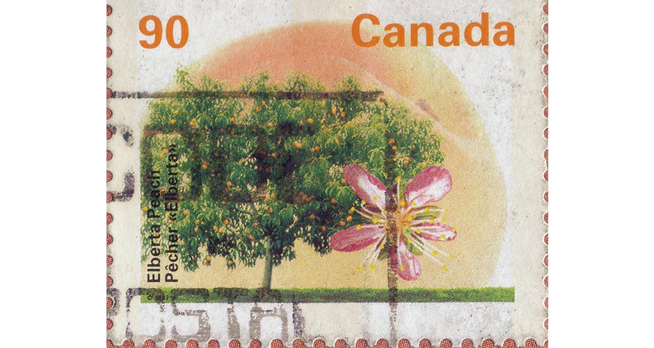 Elberta Peach stamp