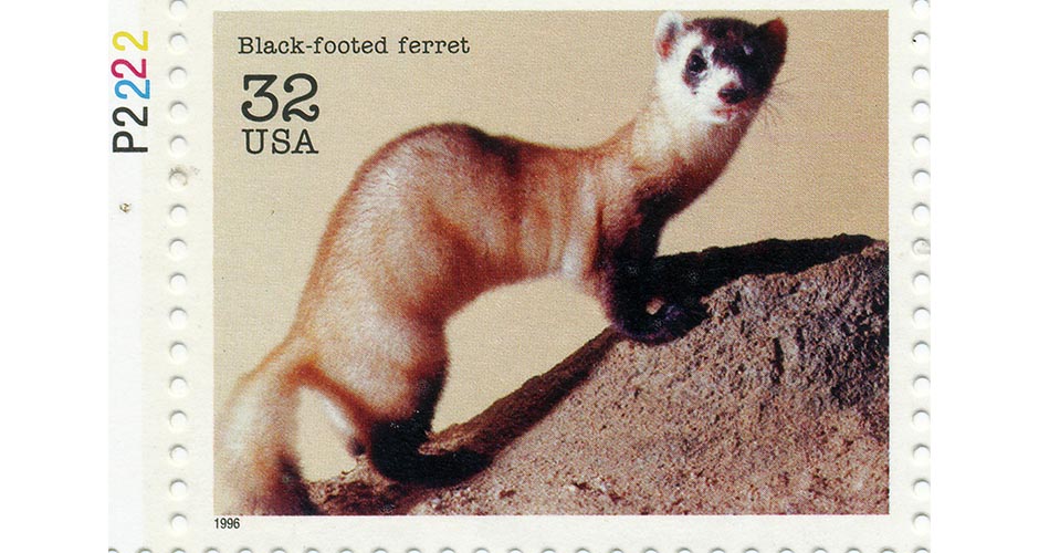 Library ferret 1.16 5. Марки USA животные.