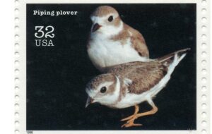 bird stamp