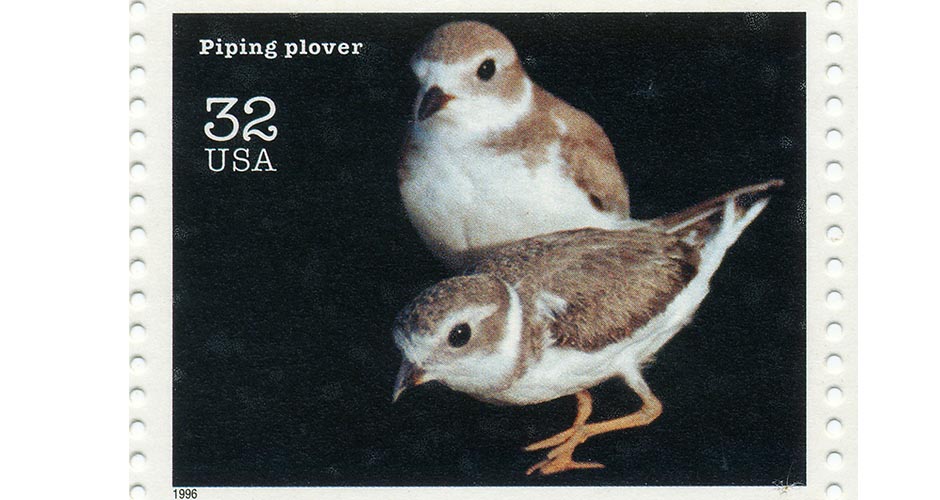 bird stamp