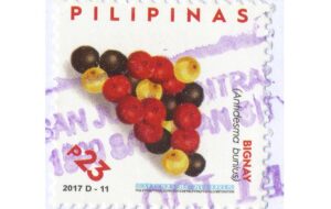 bignay fruit stamp (Philippines)