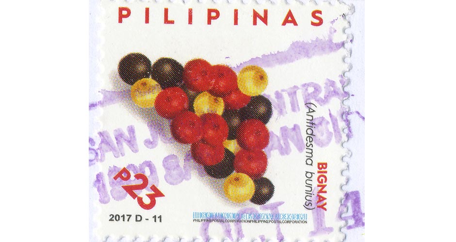 bignay fruit stamp (Philippines)